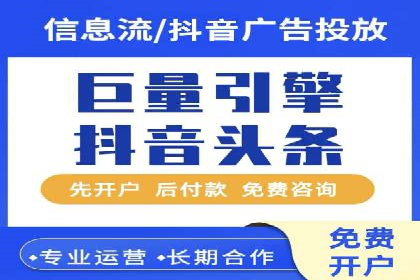 成功SEM服务案例分析报告